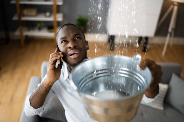 Best Basement water damage restoration  in Trooper, PA