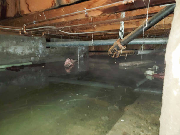 Best 24/7 water damage repair  in Trooper, PA