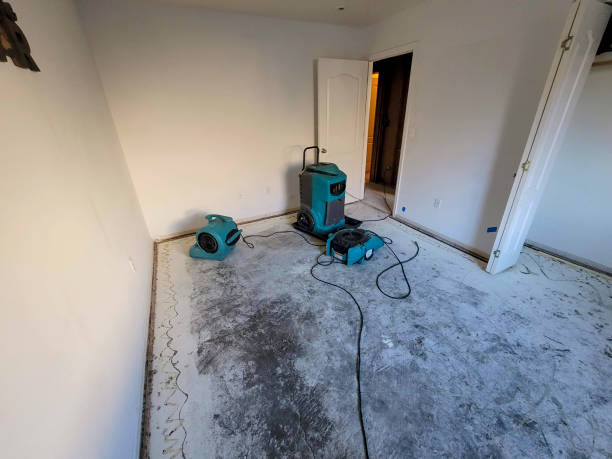 Best 24-hour water damage restoration  in Trooper, PA