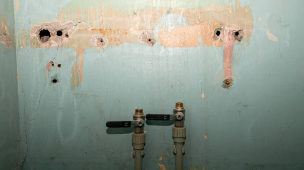 Best Water damage restoration near me  in Trooper, PA